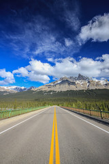 Icefield Parkway 13