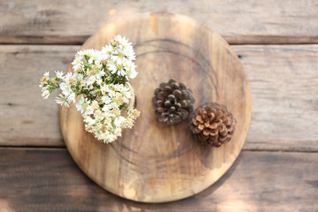 flower in jar