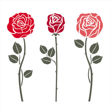 Red roses on white. Vector