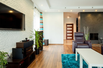 Interior of modern living room