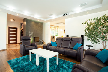 Luxurious modern living room
