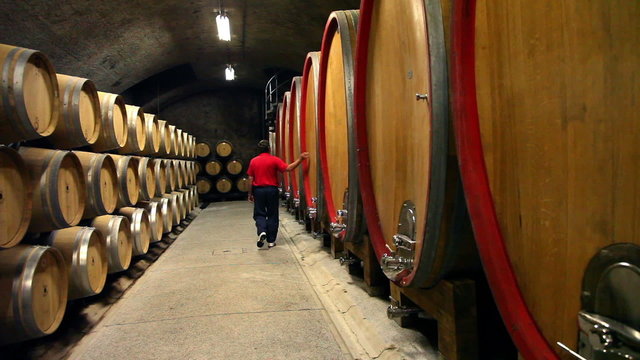 Shot of the man checking the barrels in the wine cellar