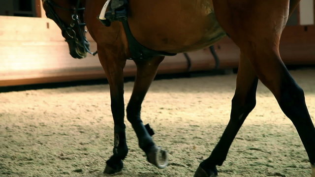 Close up of horse and young girl riding horse and learning with male trainer