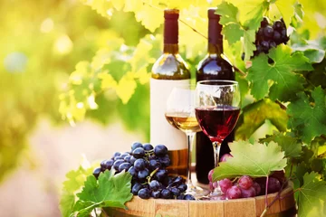 Rolgordijnen Tasty wine on wooden barrel on grape plantation background © Africa Studio