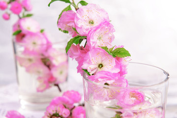 Beautiful fruit blossom in glass on table on grey background