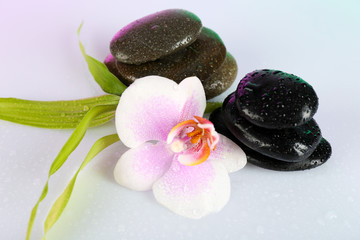 Obraz na płótnie Canvas Spa stones with orchid on light background
