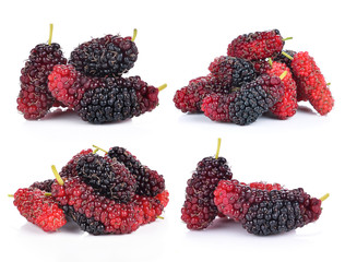 mulberry isolated on white background