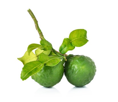Bergamot and kaffir lime leaves on white background