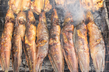 Grilled catfish on stove - thai food