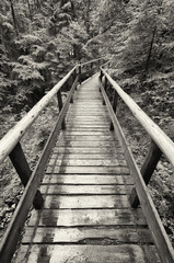 Fototapeta premium footbridge