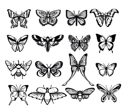 Butterflies vector black icon set