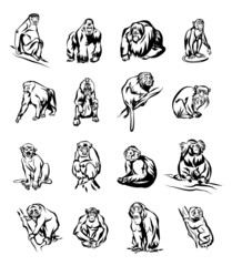 Black monkey icon set © PrettyVectors