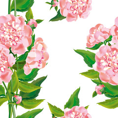 peony_пионы_pattern
