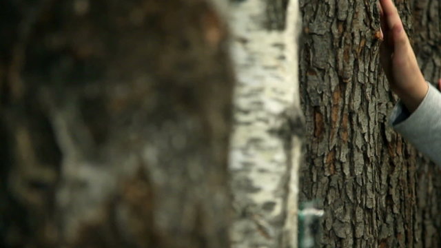 Children touching tree trunks in a museum