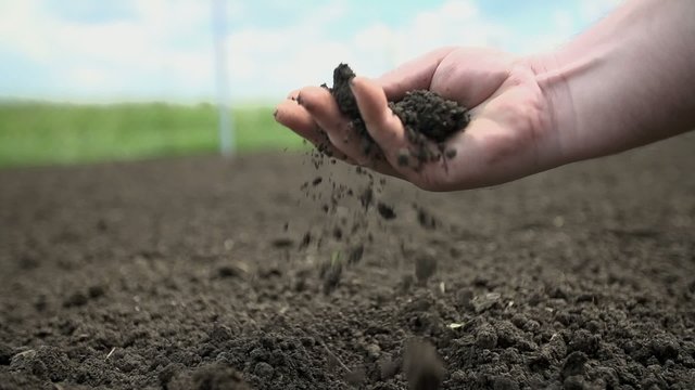 Detail shot of gardener checking the quality of the soil in his garden