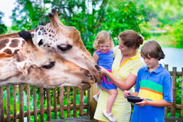 Kids feeding giraffe in a zoo