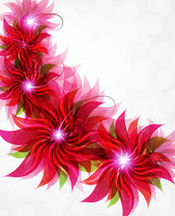 Red flowers background