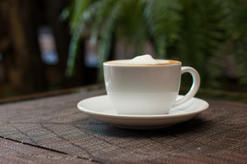 Cup of cappuccino over wooden table