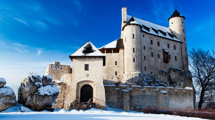 Mittelalterliche Burganlage - obrazy, fototapety, plakaty