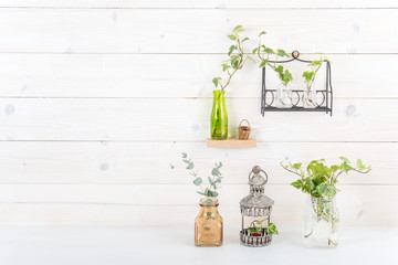 白い壁　植物　飾り棚