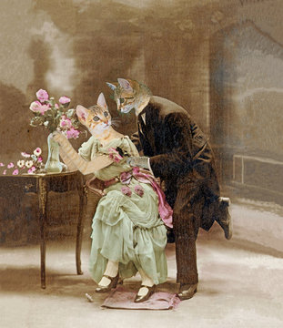 Chats amoureux en 1900. La déclaration d'amour.