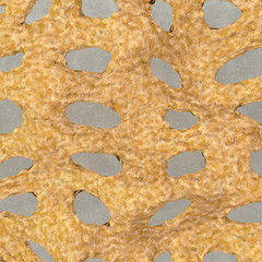 Osteoporose - Makro - 3D Render