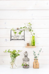 白い壁　植物　飾り棚