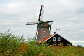 Amsterdam Mulin
