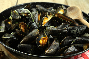 moules