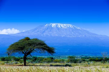 Wall murals Kilimanjaro Kilimanjaro landscape