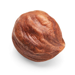 seed nut on a white background