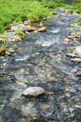 Beautiful Alpine brook with fresh green moss on the stones