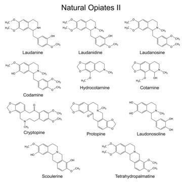 Chemical formulas of main natural opiates
