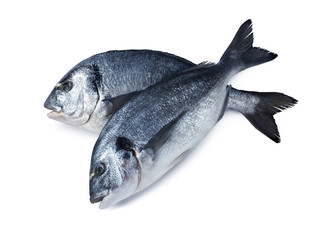 Two dorado fish crossed isolated on white background