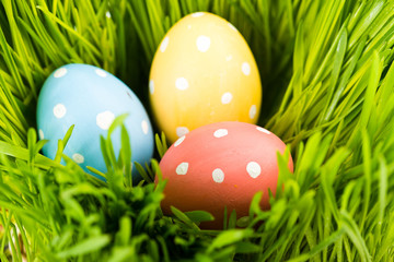 Colorful easter eggs on green grass