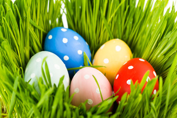 Colorful easter eggs on green grass