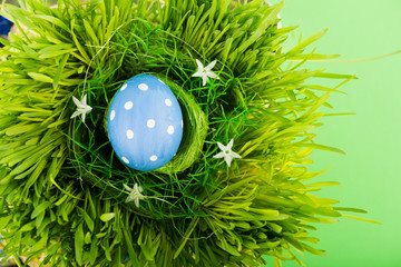 Colorful easter egg in nest on meadow