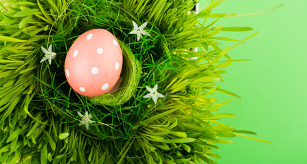 Colorful easter egg in nest on meadow