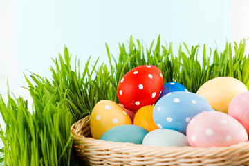Easter eggs in basket on meadow