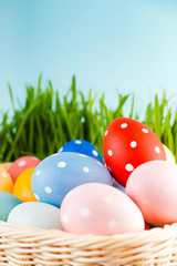 Easter eggs in basket on meadow