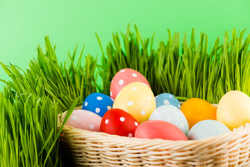 Easter eggs in basket on meadow