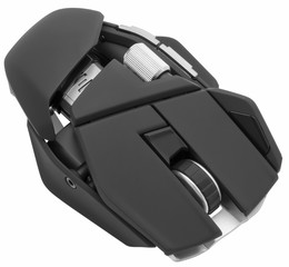 mouse