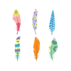 Vector colored feathers set. Bird feathers painted in colorful