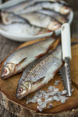 fresh raw fish