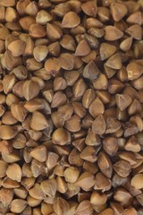 macro buckwheat background