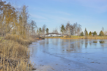 Фрагмент зимнего озера в парке