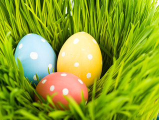 Colorful easter eggs on green grass