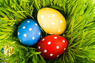 Colorful easter eggs on green grass
