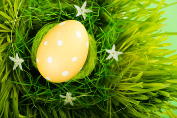 Colorful easter egg in nest on meadow