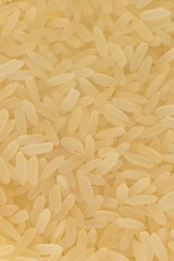 yellow rice background